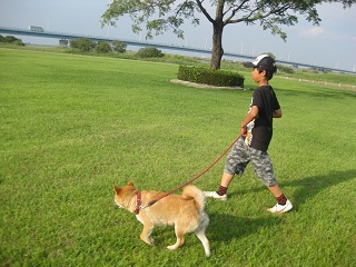 犬と散歩する少年
